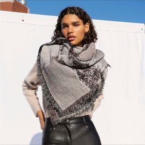 Aritzia Wilfred Haus Party Blanket Scarf
